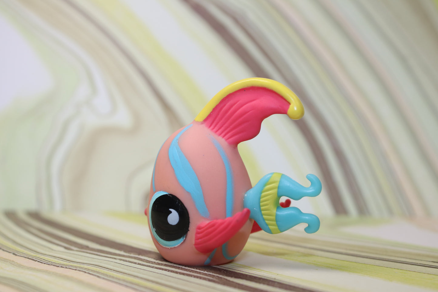 Lps angelfish 643 variant