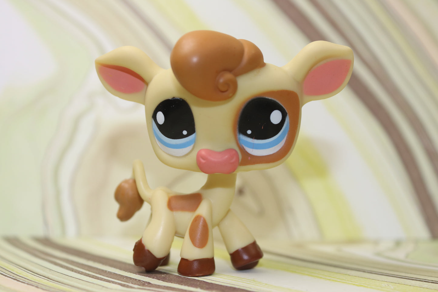 Lps blemished cow 970