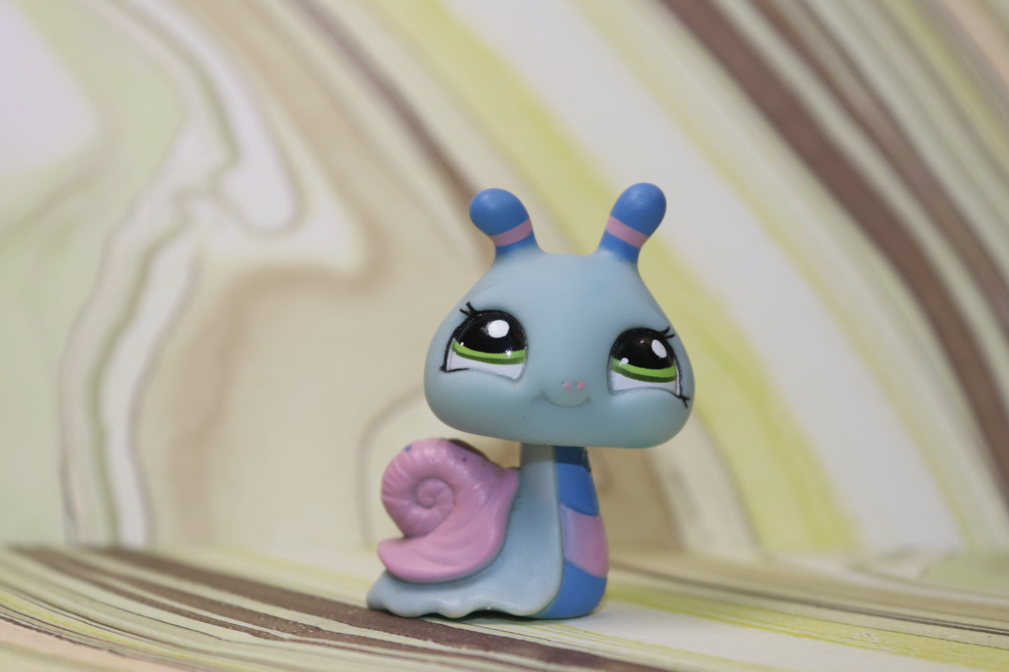Lps blemished blue snail 1446