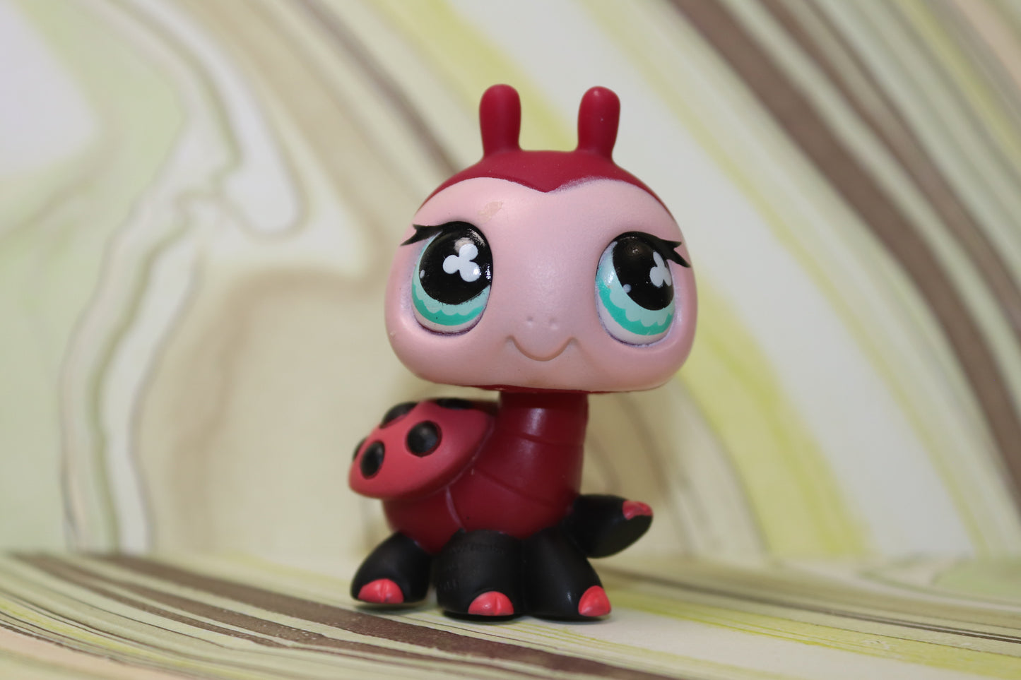 Lps big ladybug 629