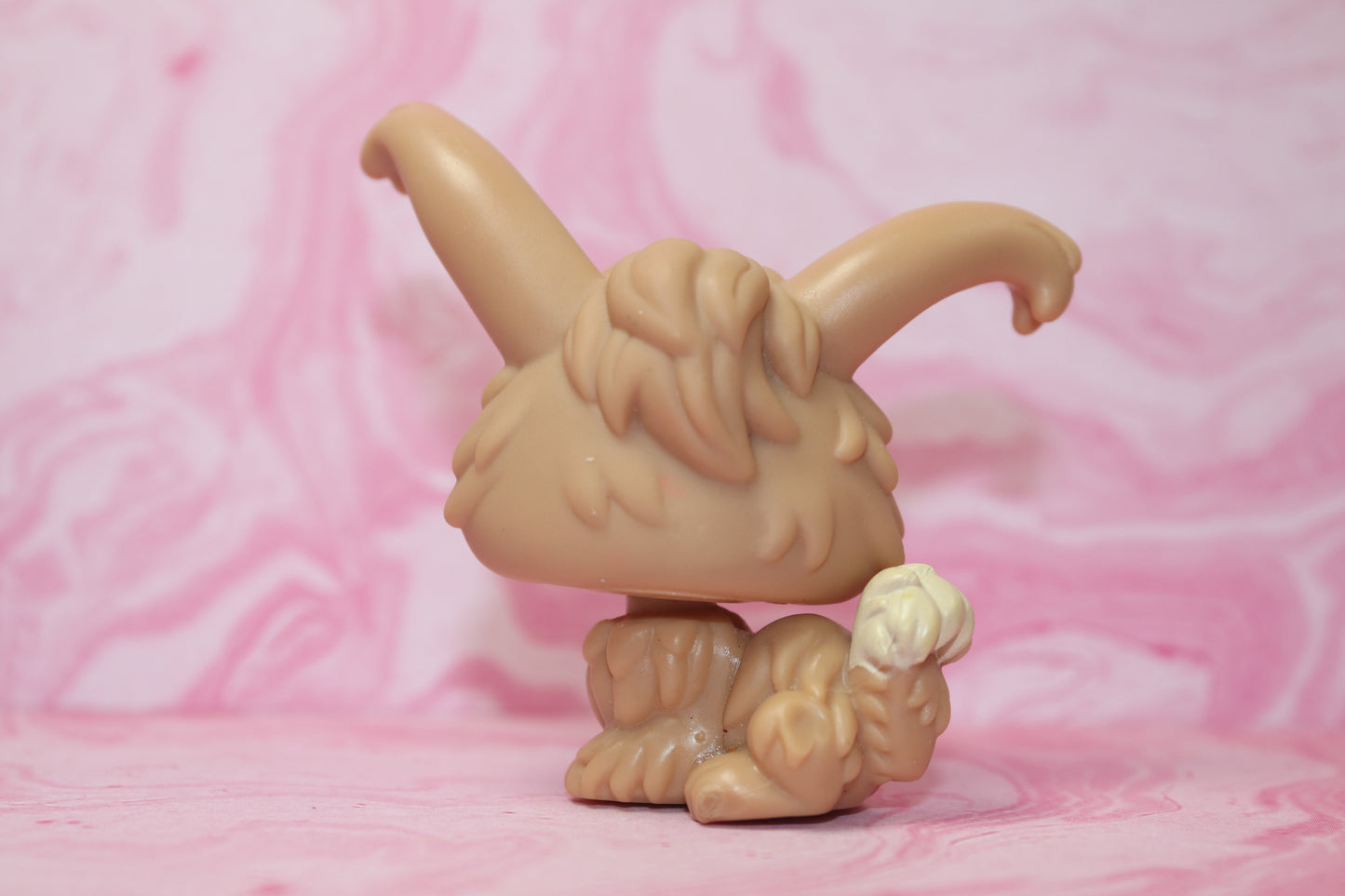 Lps brown angora rabbit 631