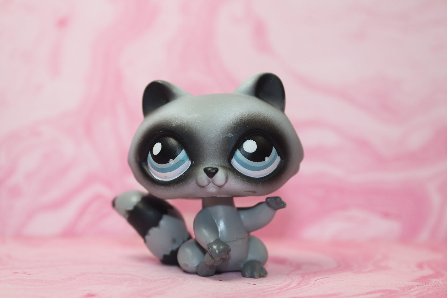 Lps blemished raccoon 196