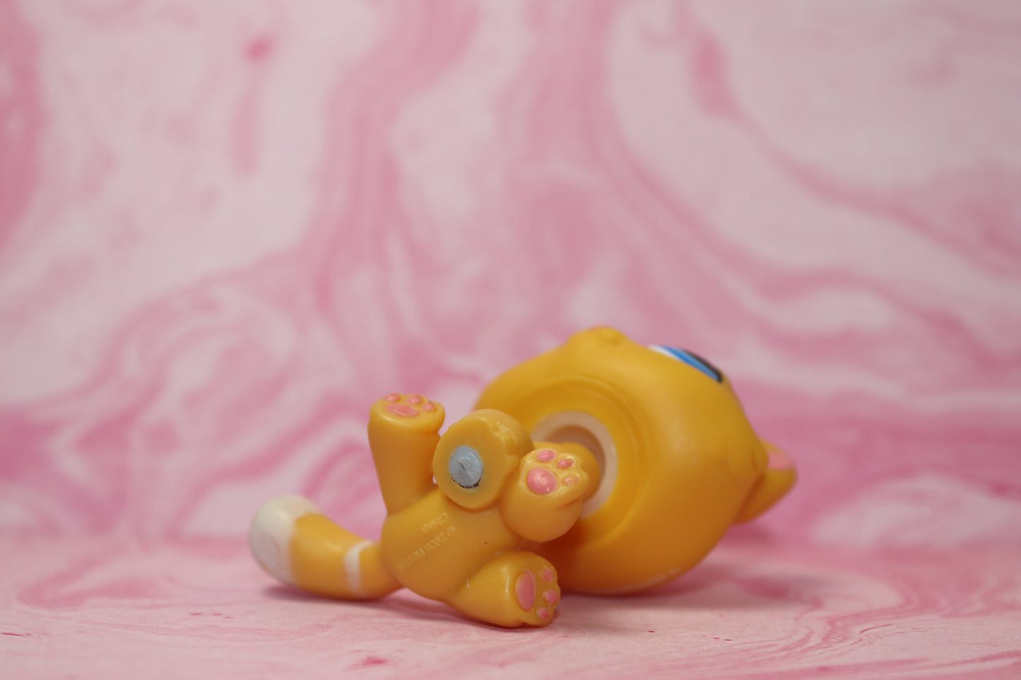Lps orange bon bon cat 349
