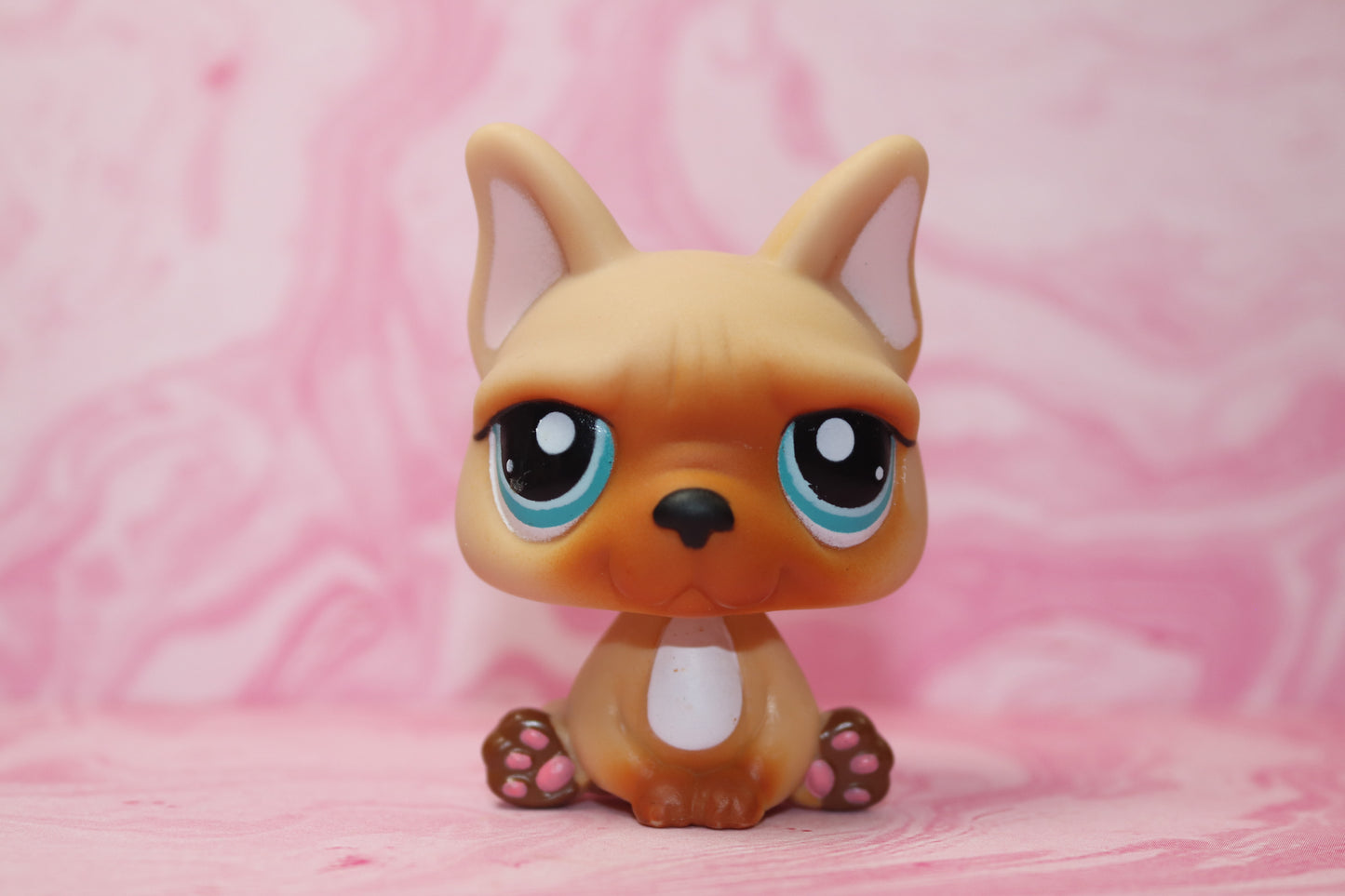 Lps french bulldog 1847