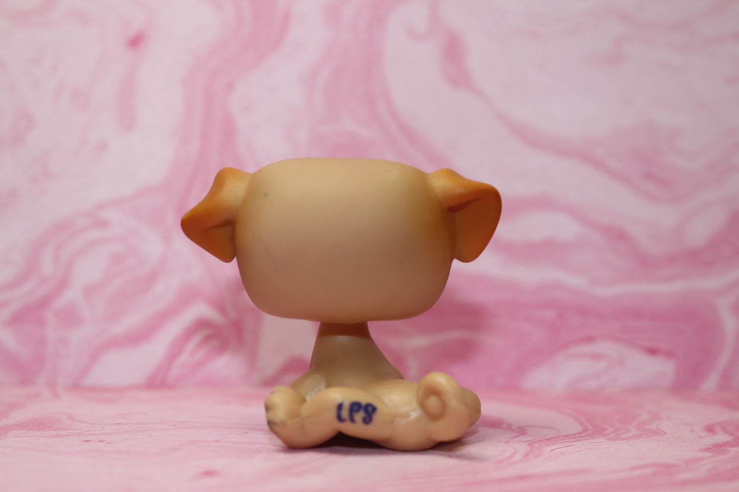 Lps blemished pug 1221