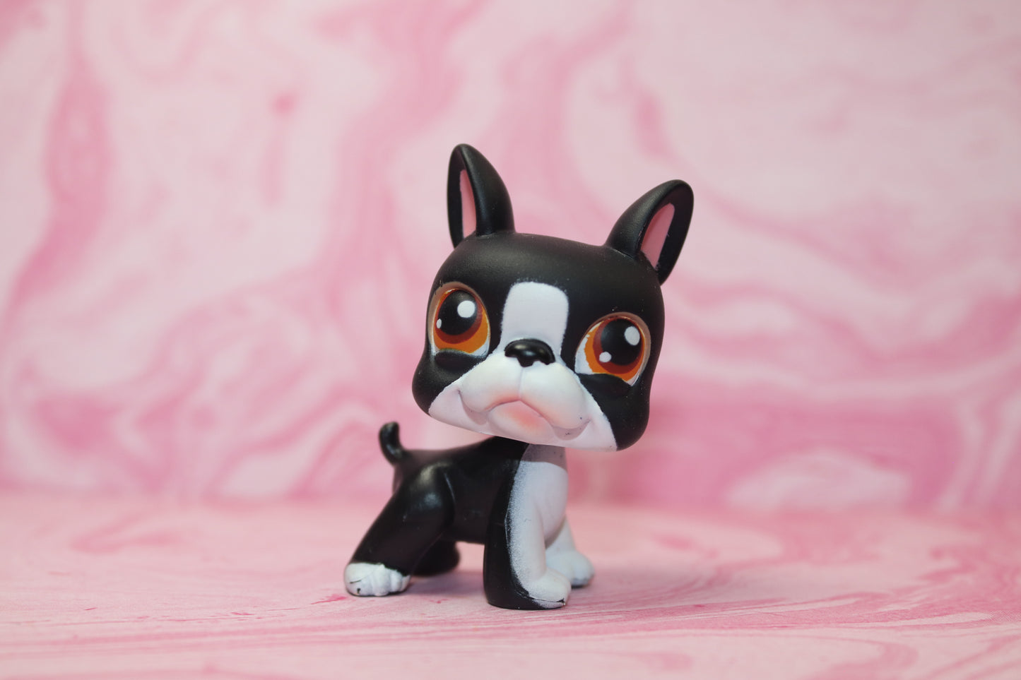 Lps black and white boston terrier 63