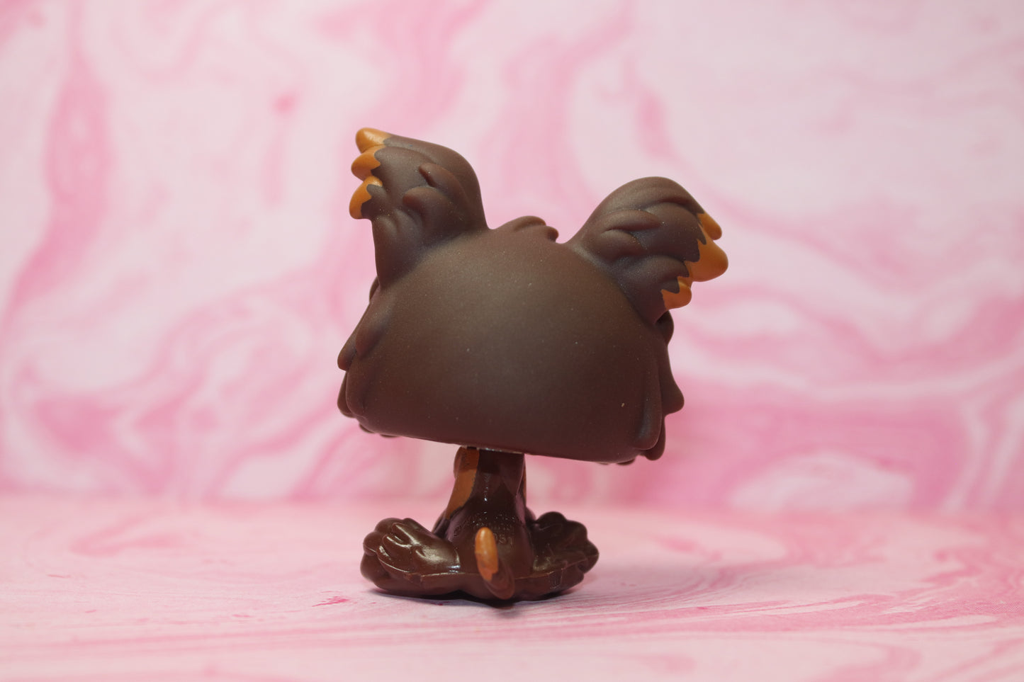 Lps glass eyed yorkie 509
