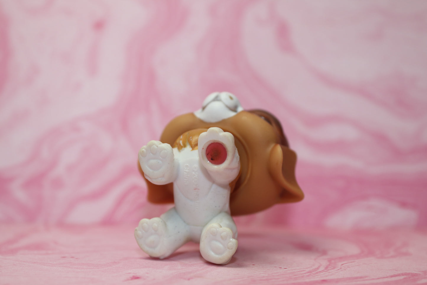 Lps blemished st bernard 229