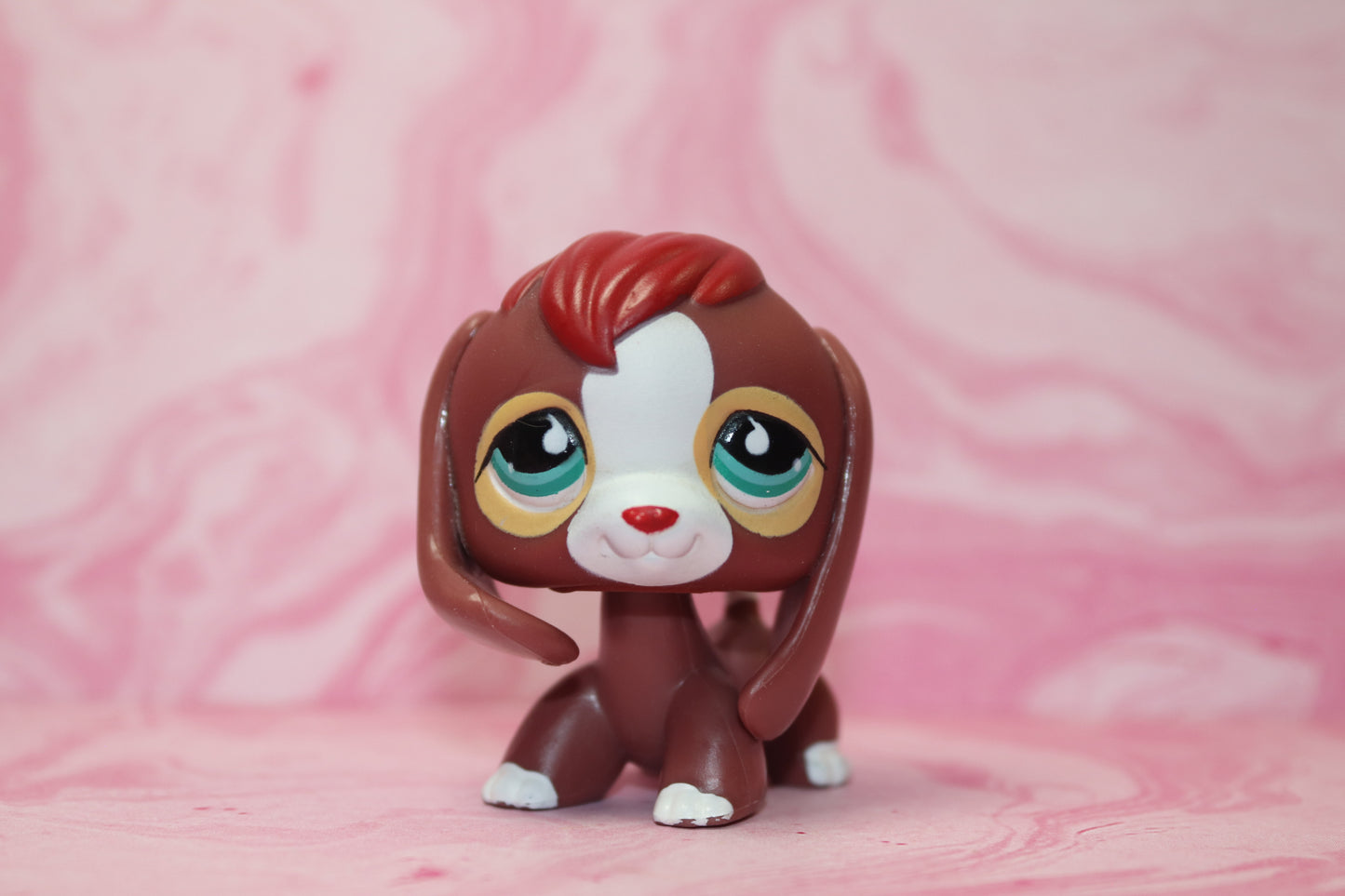 Lps beagle 849
