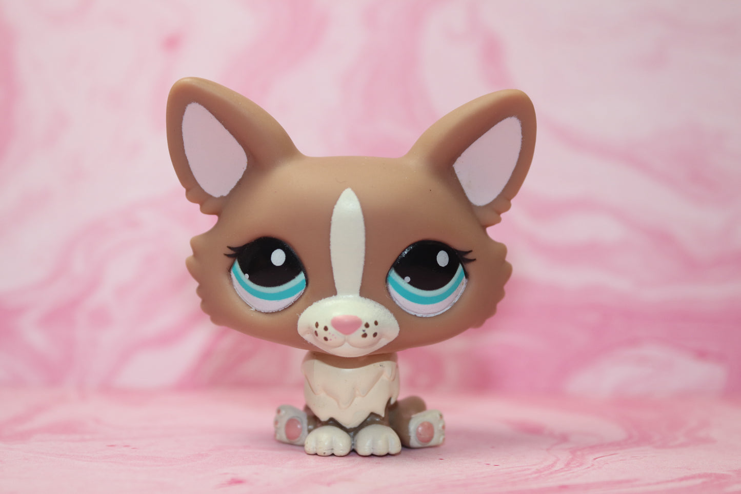 Lps blythe corgi 1864