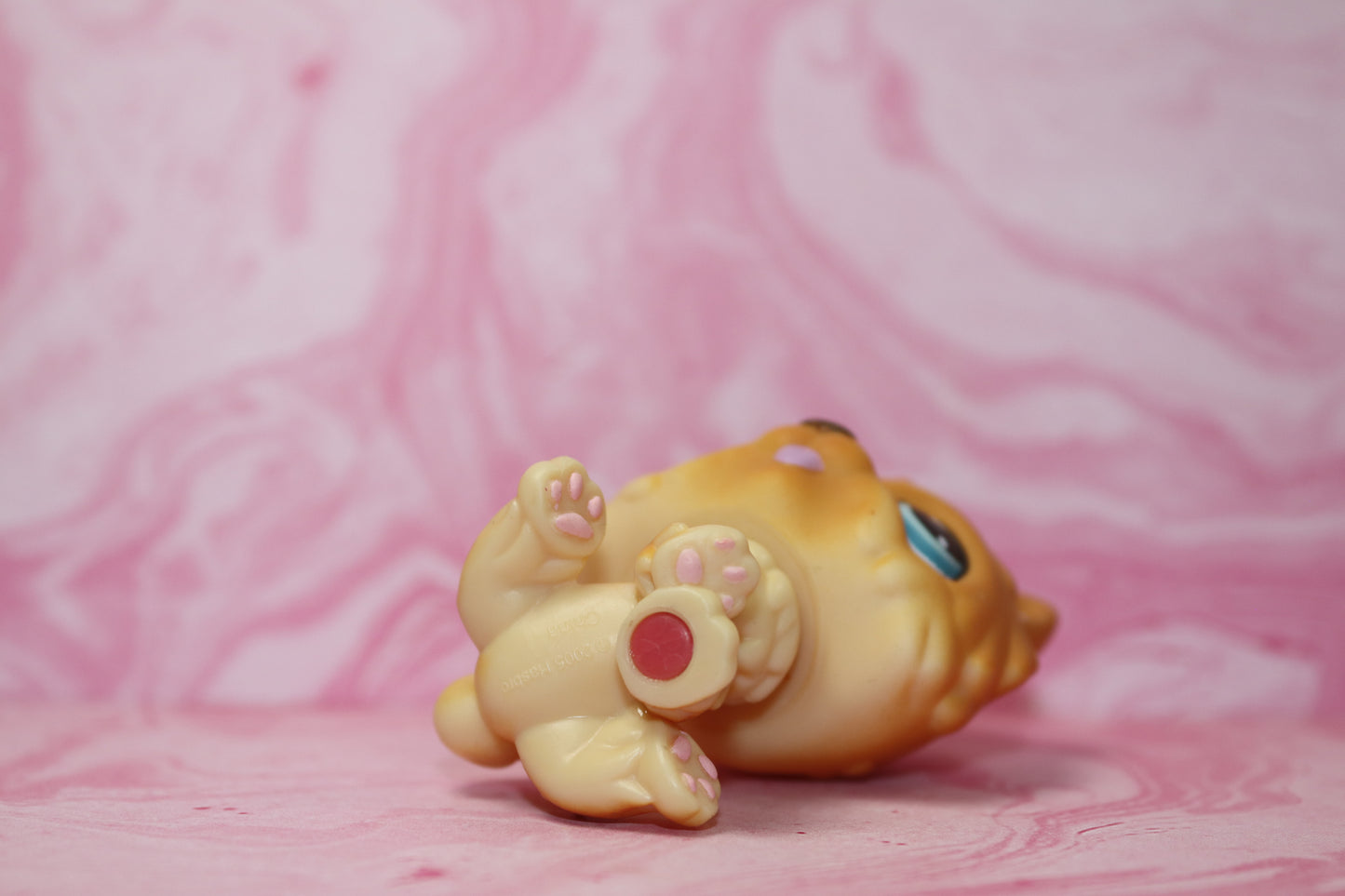Lps chow chow 117