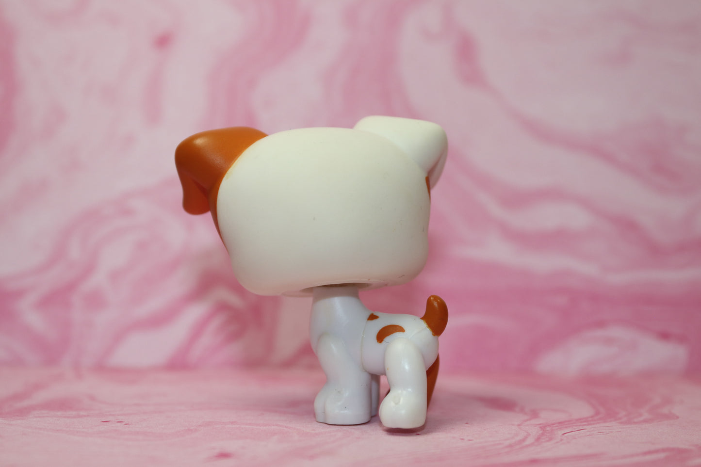 Lps jack russell 151