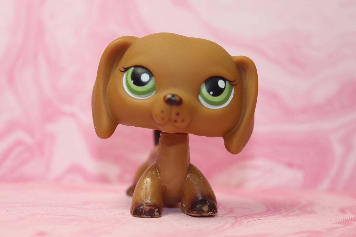 Lps blemished target dachshund 307