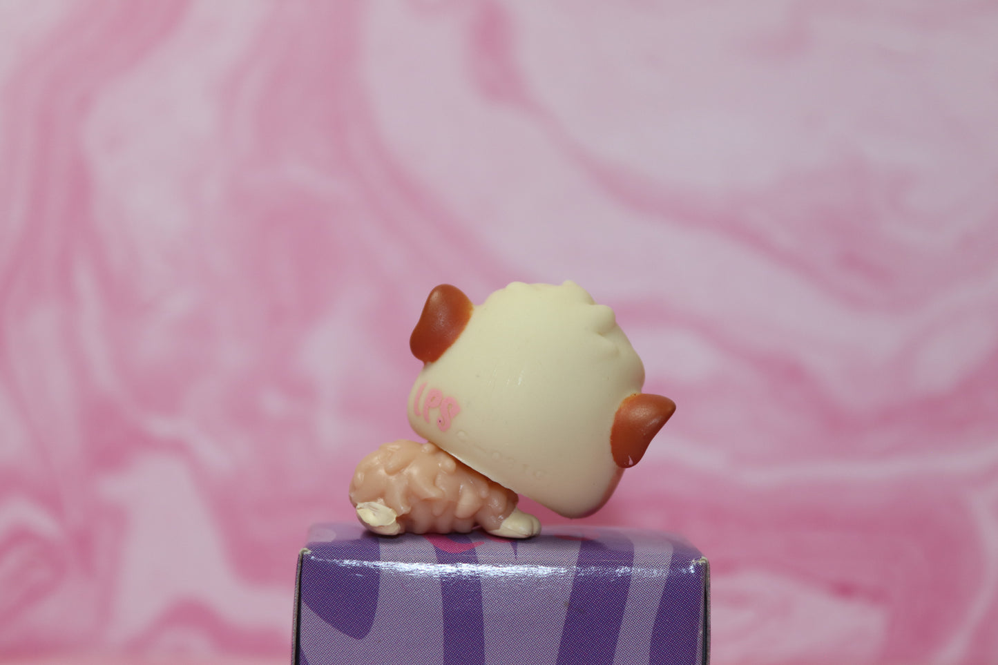 Lps baby guinea pig 2630
