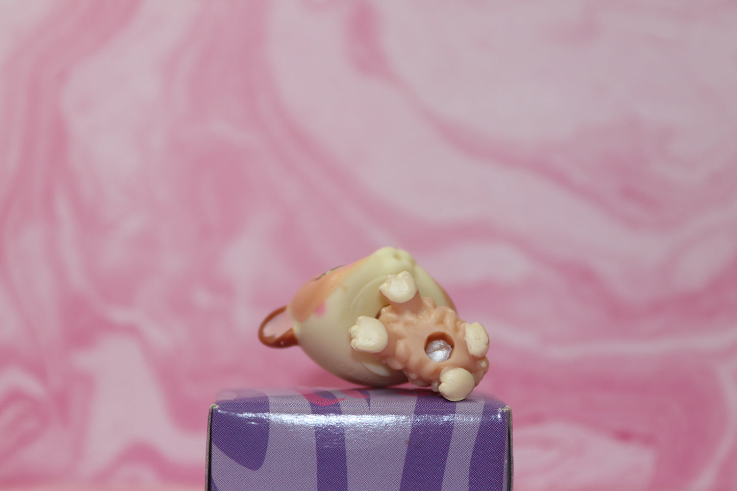 Lps baby guinea pig 2630