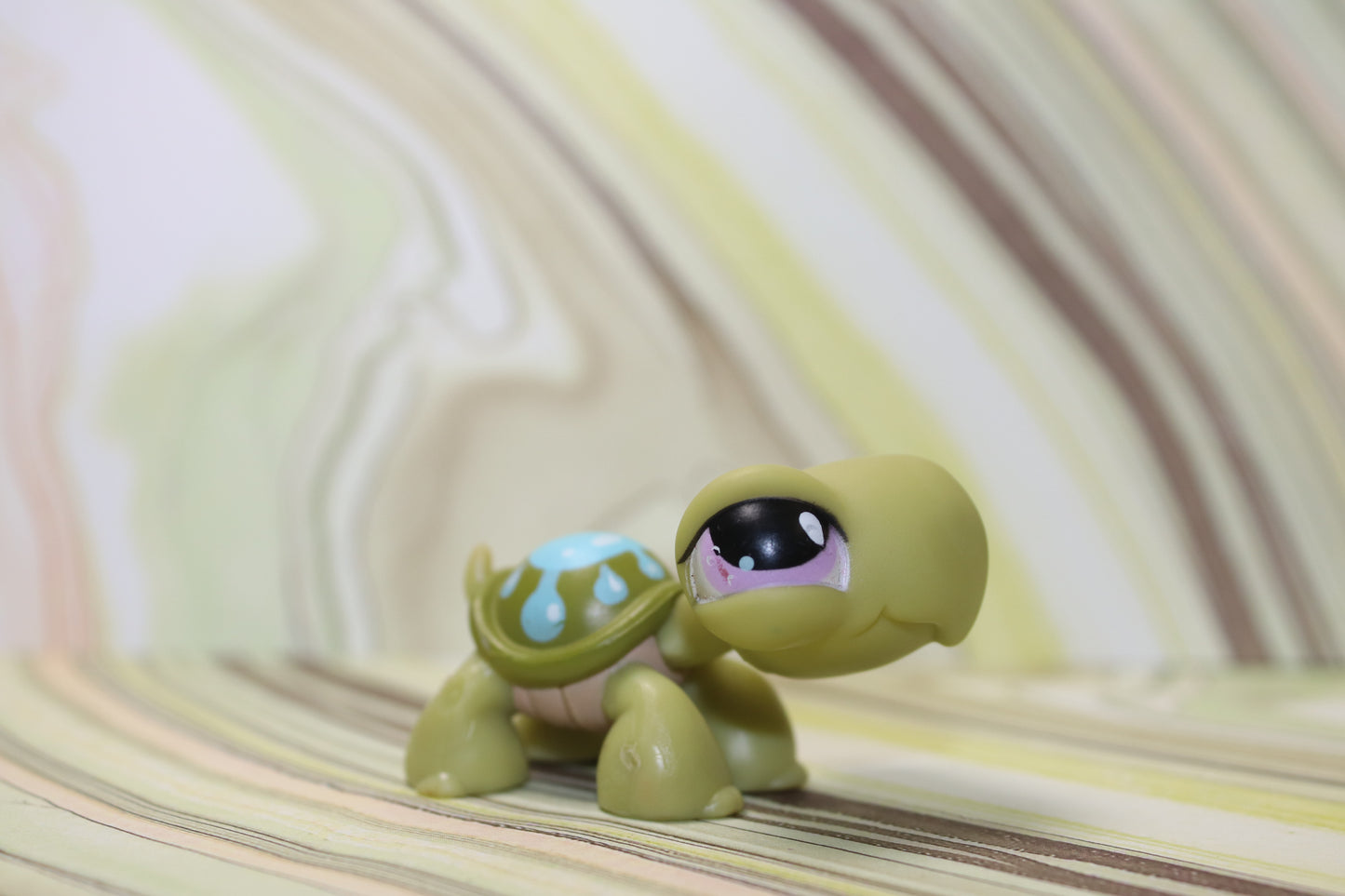 Lps blemished turtle 149