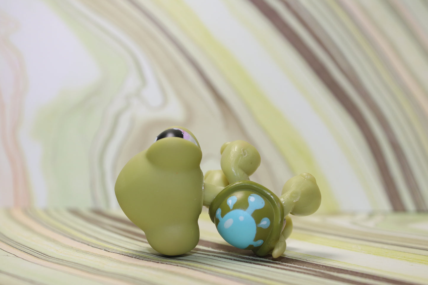 Lps blemished turtle 149
