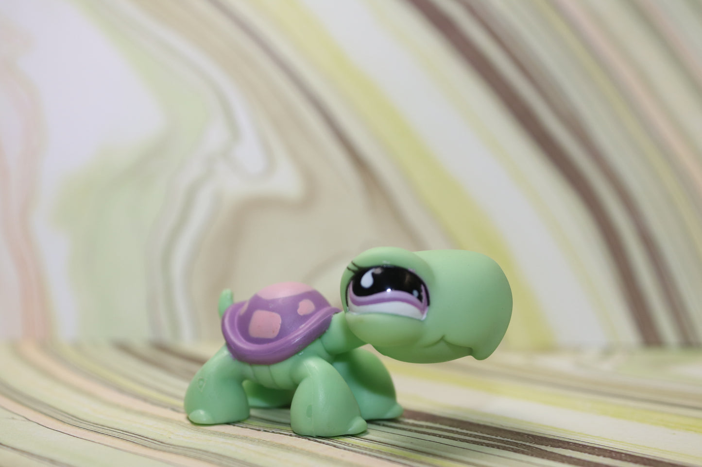 Lps toys r us turtle 566