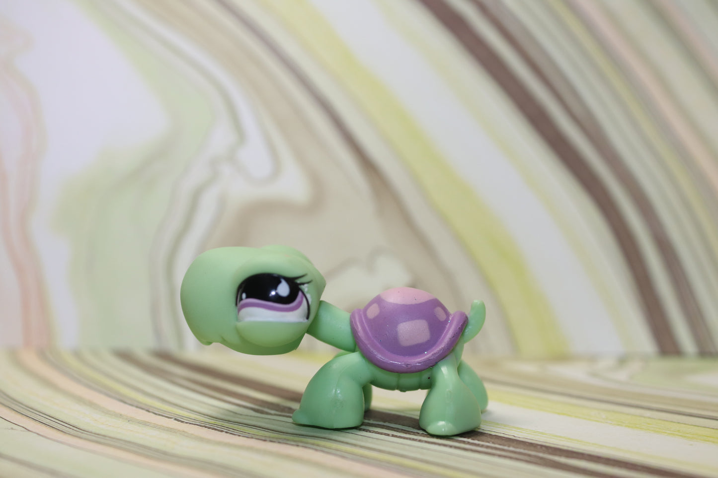 Lps toys r us turtle 566