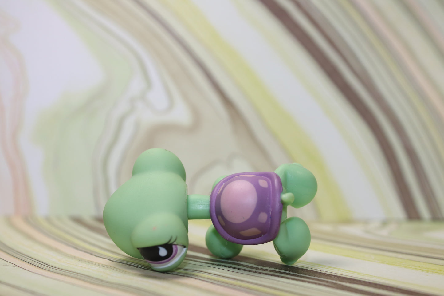 Lps toys r us turtle 566