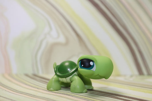 Lps turtle 187