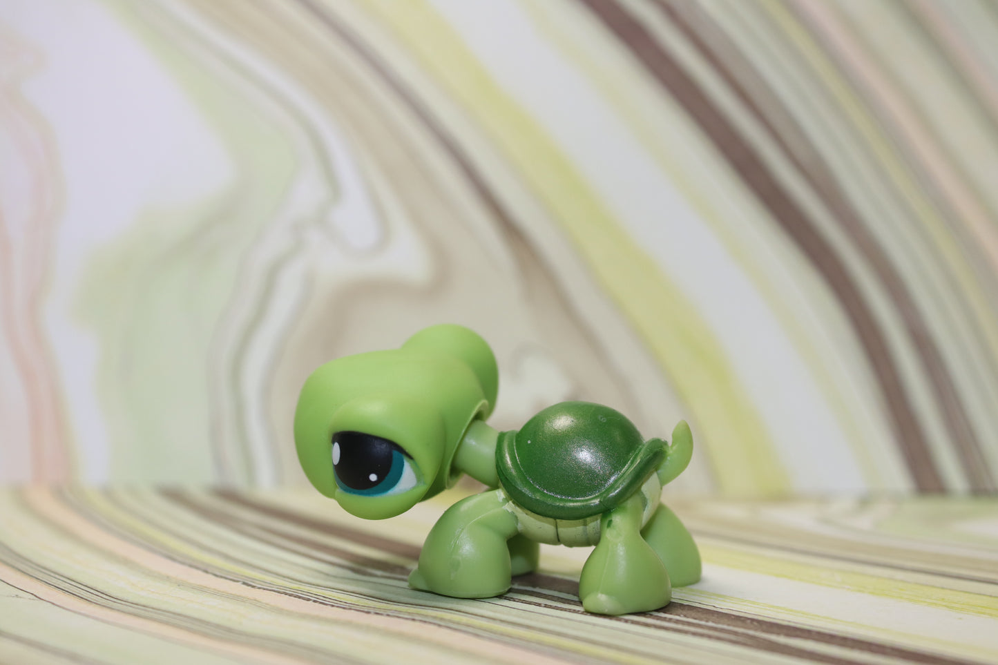 Lps turtle 187