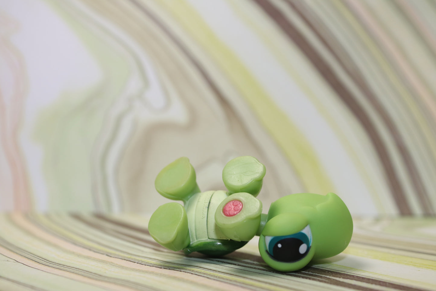 Lps turtle 187
