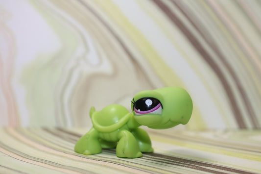 Lps rare US blind bag turtle 2607 *blemished*