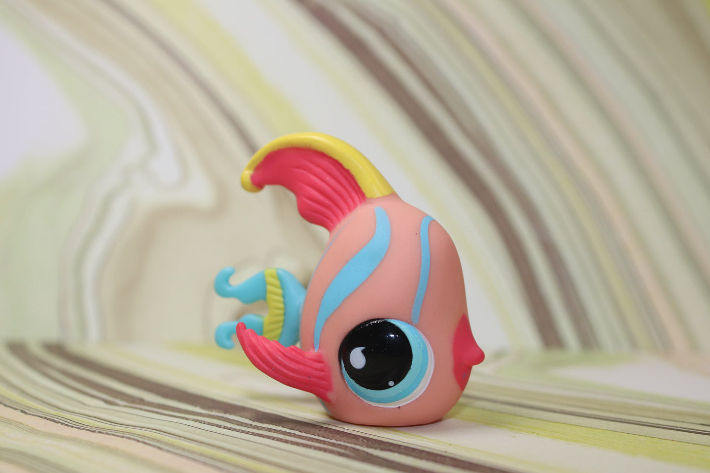 Lps angelfish 643 variant