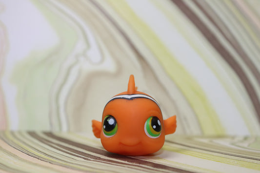 Lps blemished clownfish 130