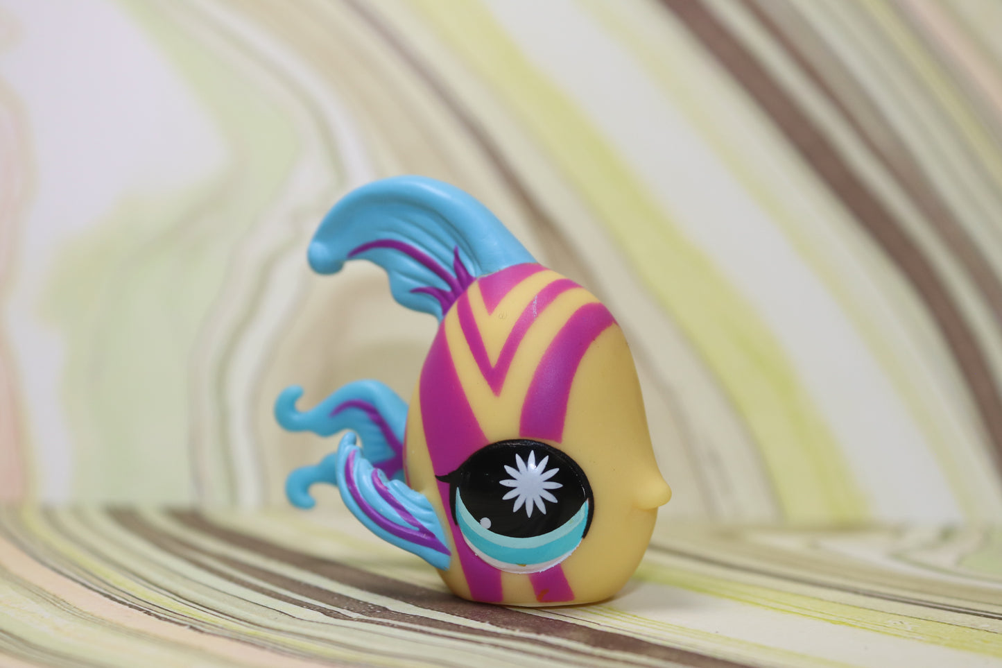Lps angelfish 863