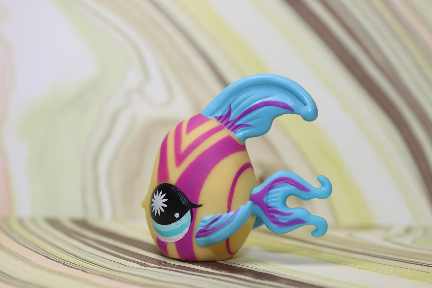 Lps angelfish 863