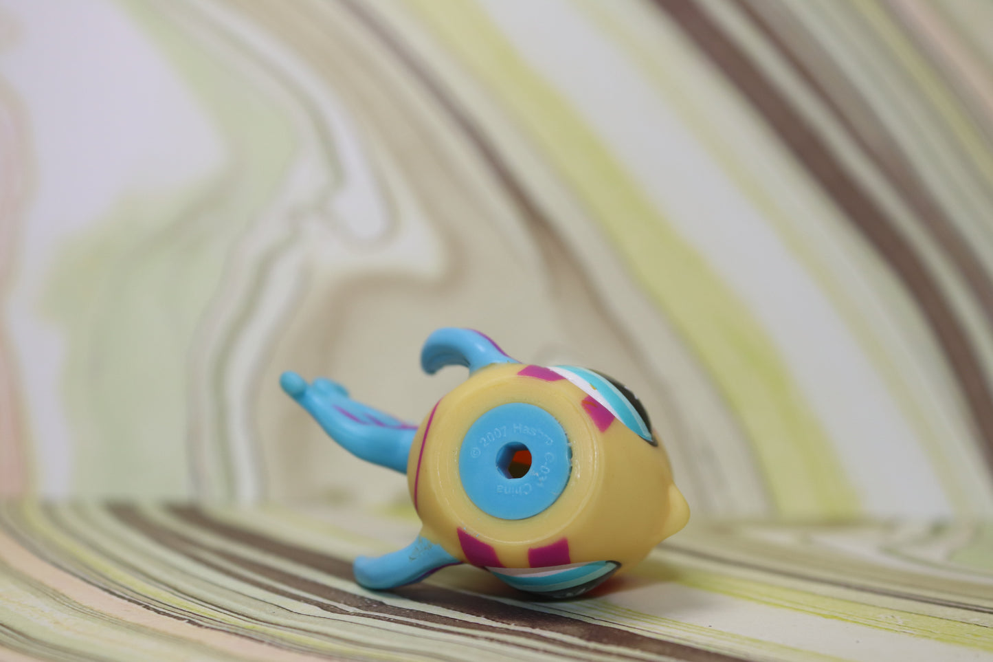 Lps angelfish 863