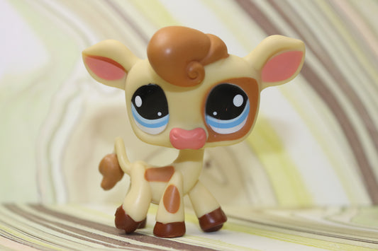 Lps blemished cow 970