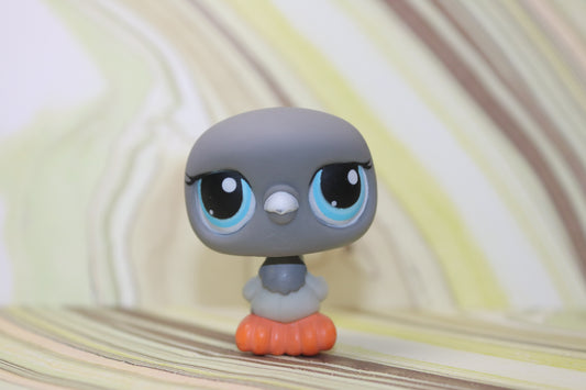 Lps grey pigeon 356