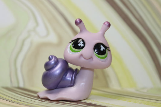 Lps purple snail 628