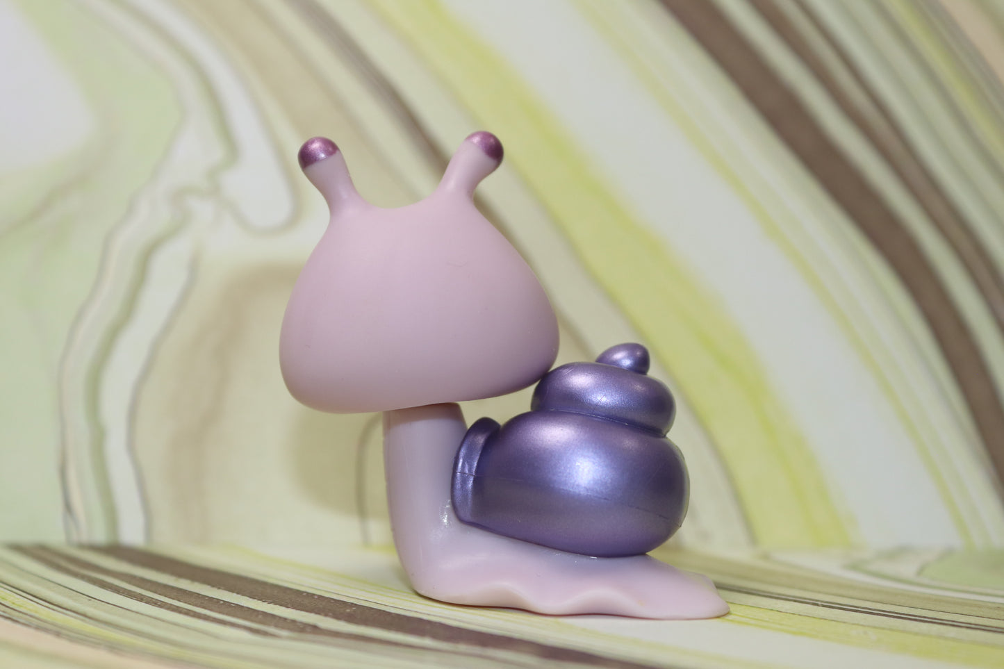 Lps purple snail 628