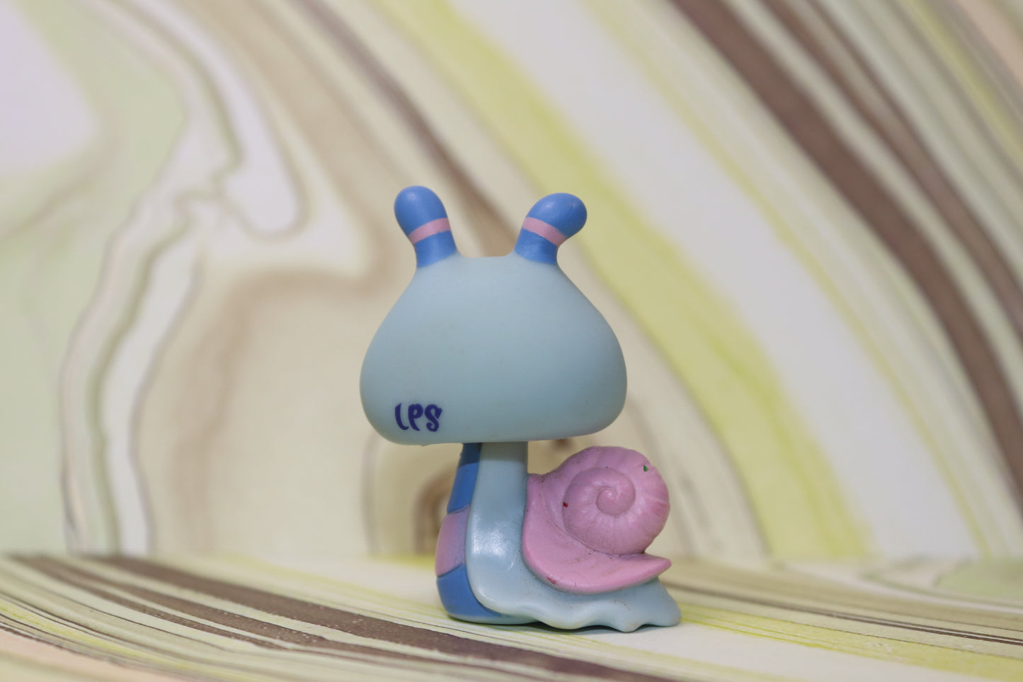 Lps blemished blue snail 1446