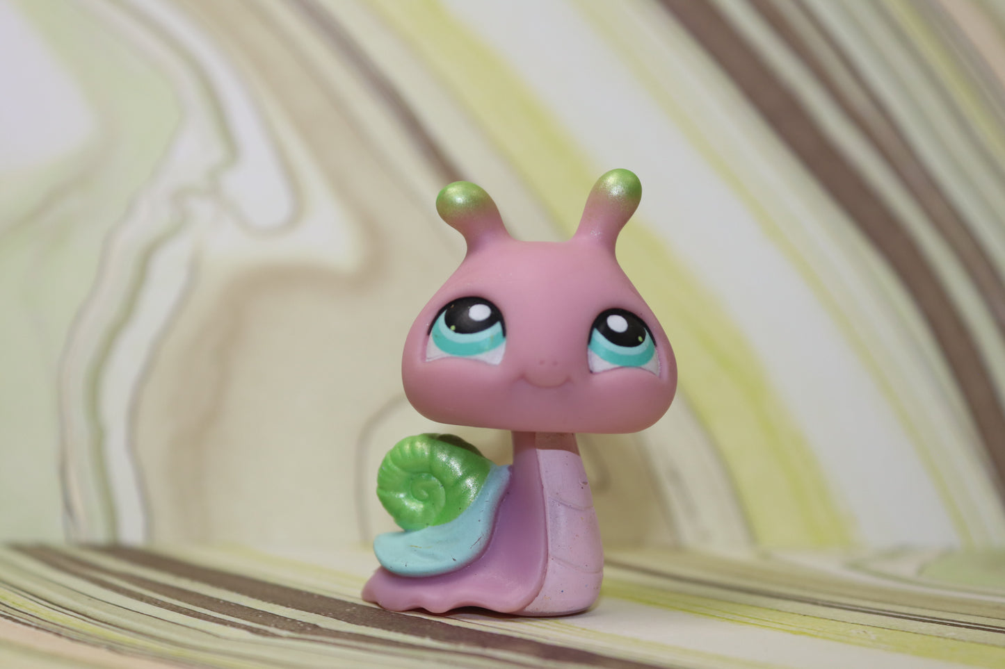 Lps pink snail 128