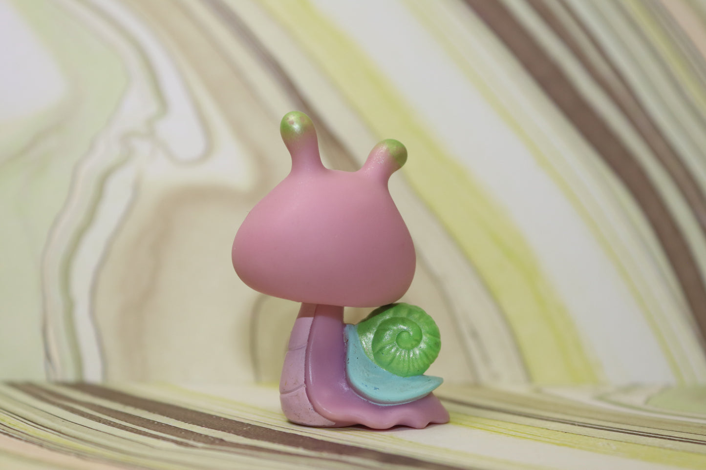 Lps pink snail 128