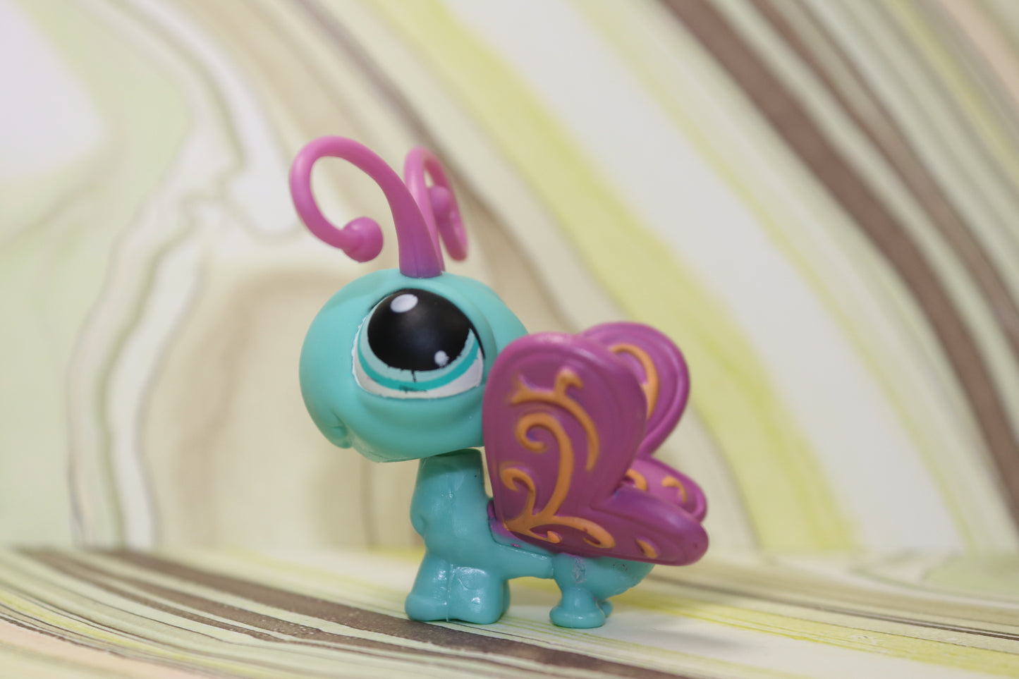 Lps blue butterfly 355