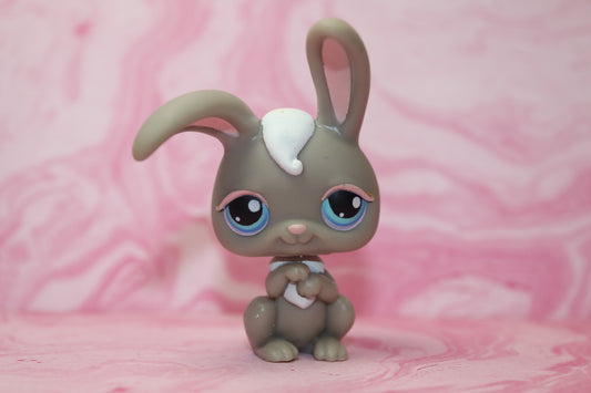 Lps grey bunny 14