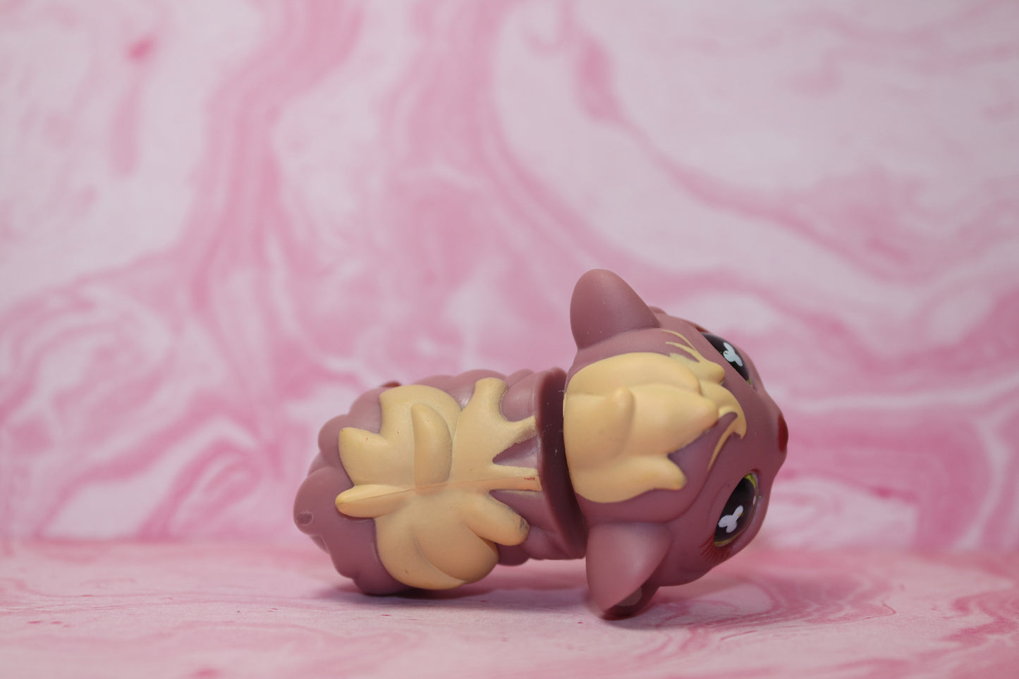 Lps guinea pig 510