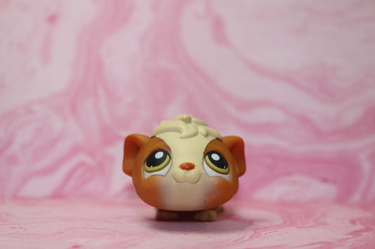 Lps guinea pig 213
