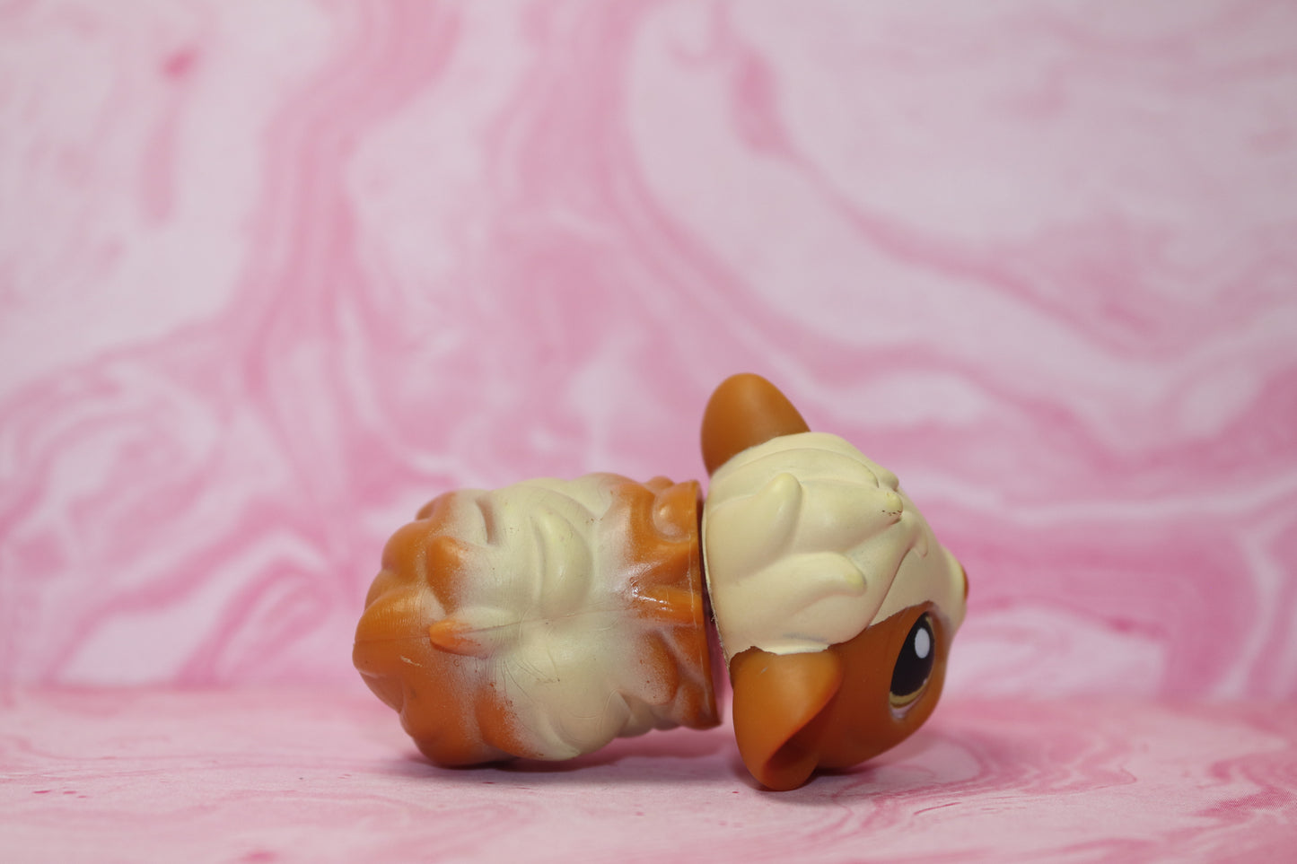 Lps guinea pig 213