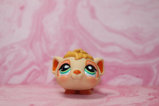 Lps guinea pig 1844