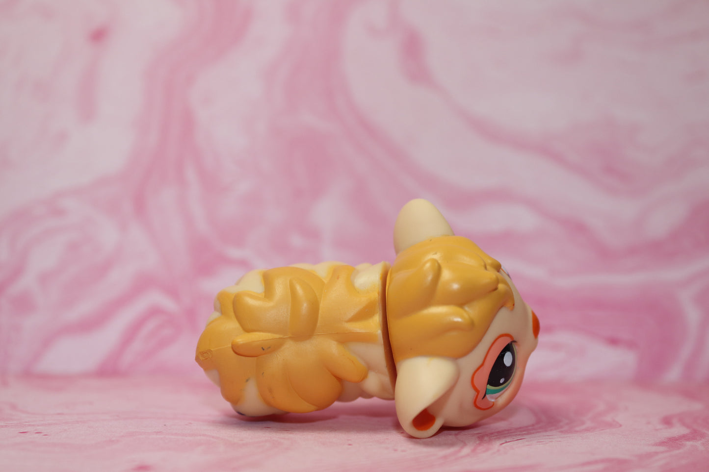 Lps guinea pig 1844