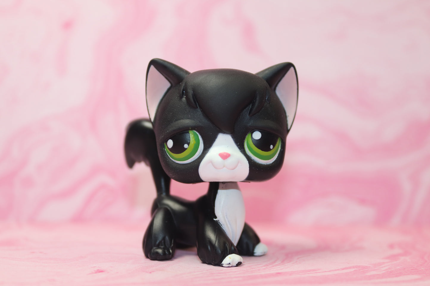 Lps black and white longhair cat 55