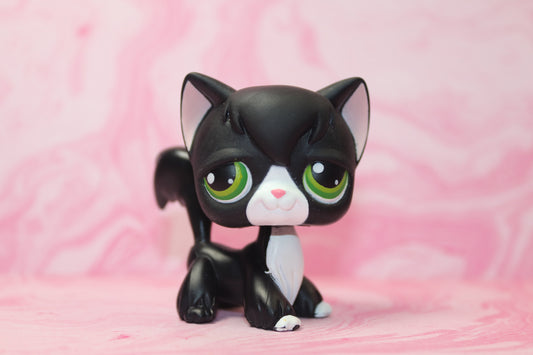 Lps black and white longhair cat 55