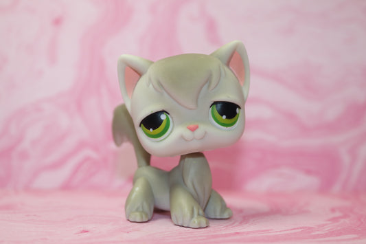 Lps grey longhair cat 20